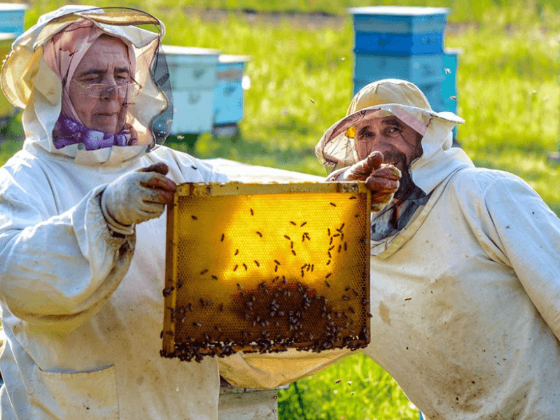 Пчеловод