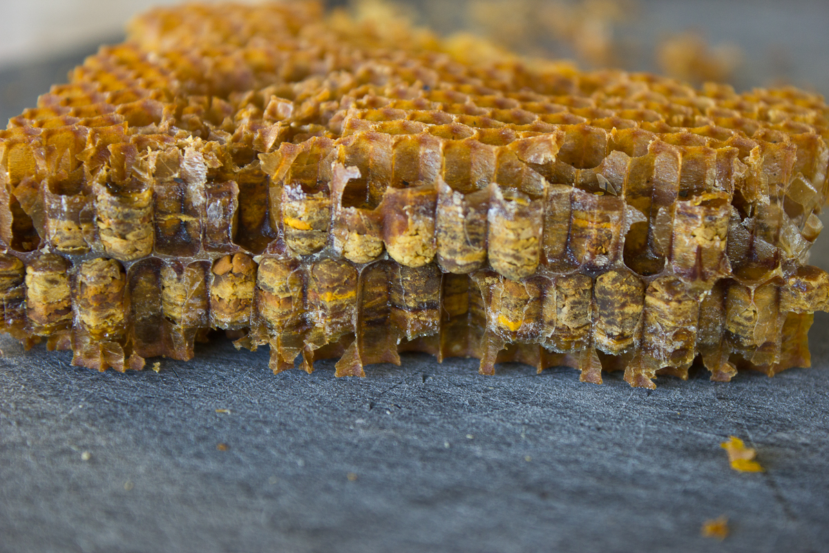 Перга пчелиная Полезные Свойства и Применение в Пищевой и Медицинской Промышленности