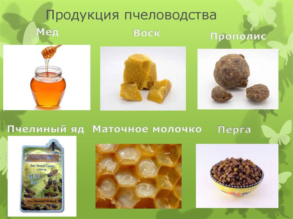 Продукты пчеловодства