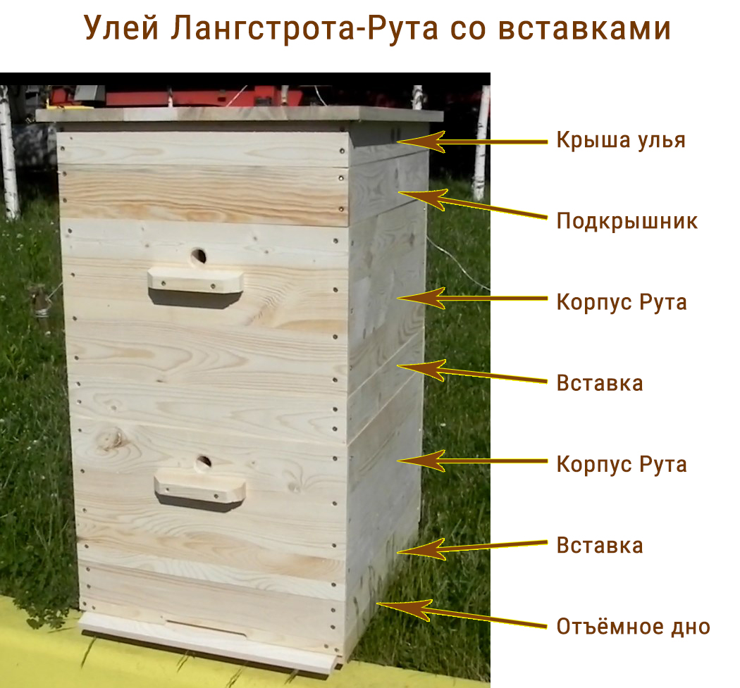 Пчелиный улей своими руками: чертежи и инструкция по изготовлению